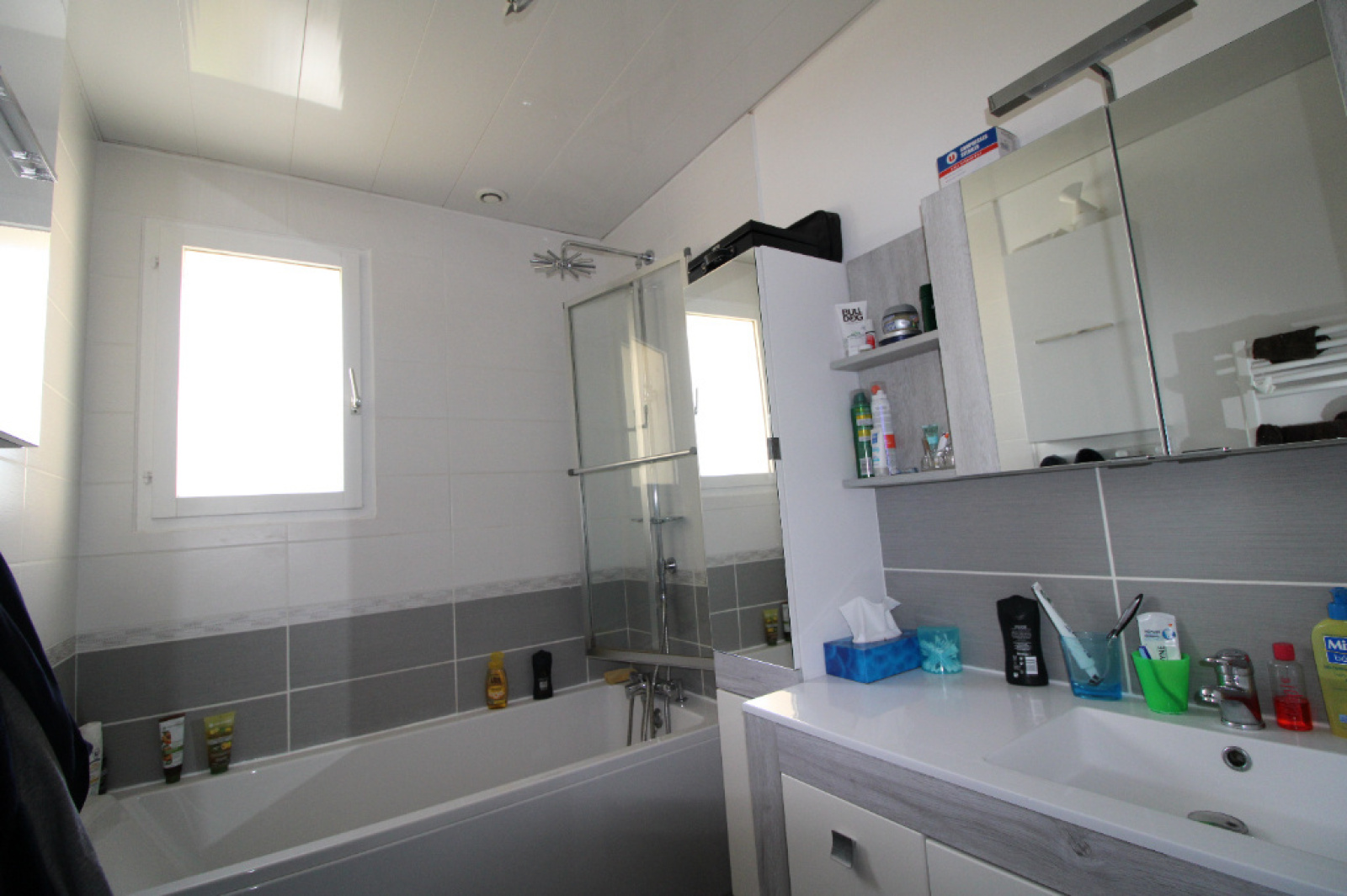Image_6, Maison, Saint-Sylvain-d'Anjou, ref :16