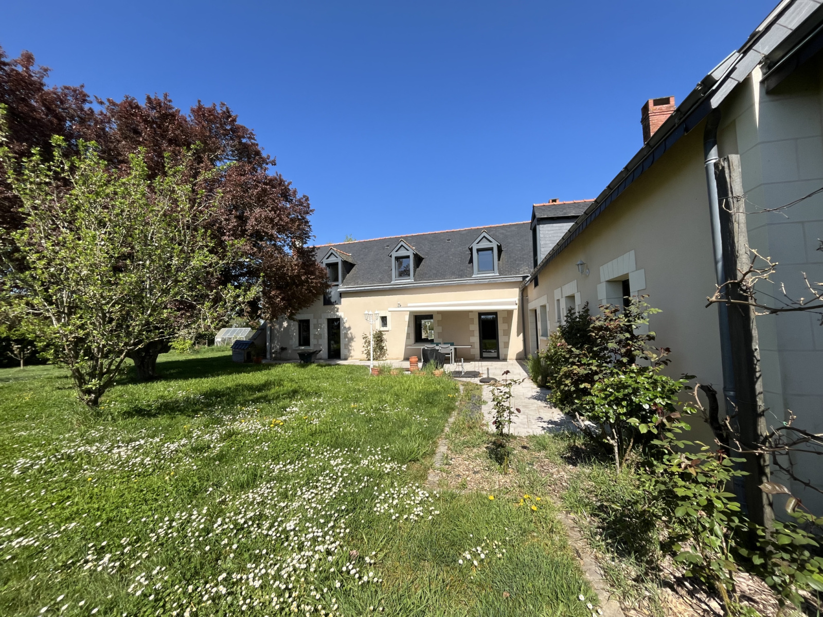 Image_1, Maison, Angers, ref :303