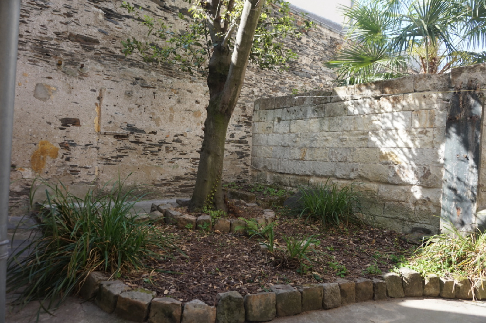 Image_7, Appartement, Angers, ref :700