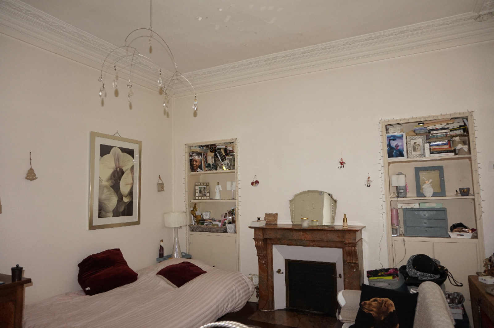 Image_8, Appartement, Angers, ref :700