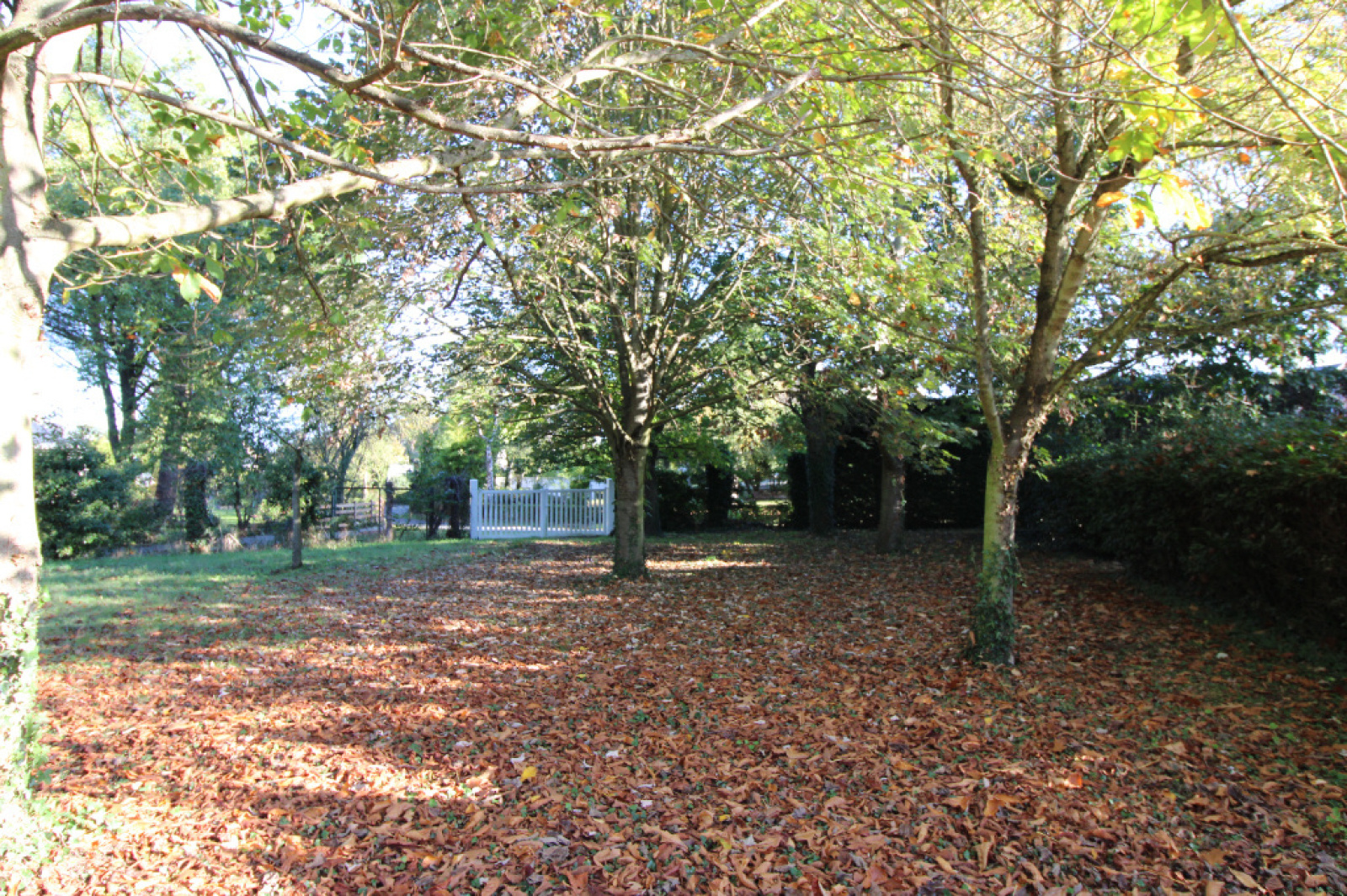 Image_2, Maison, Saint-Sylvain-d'Anjou, ref :22