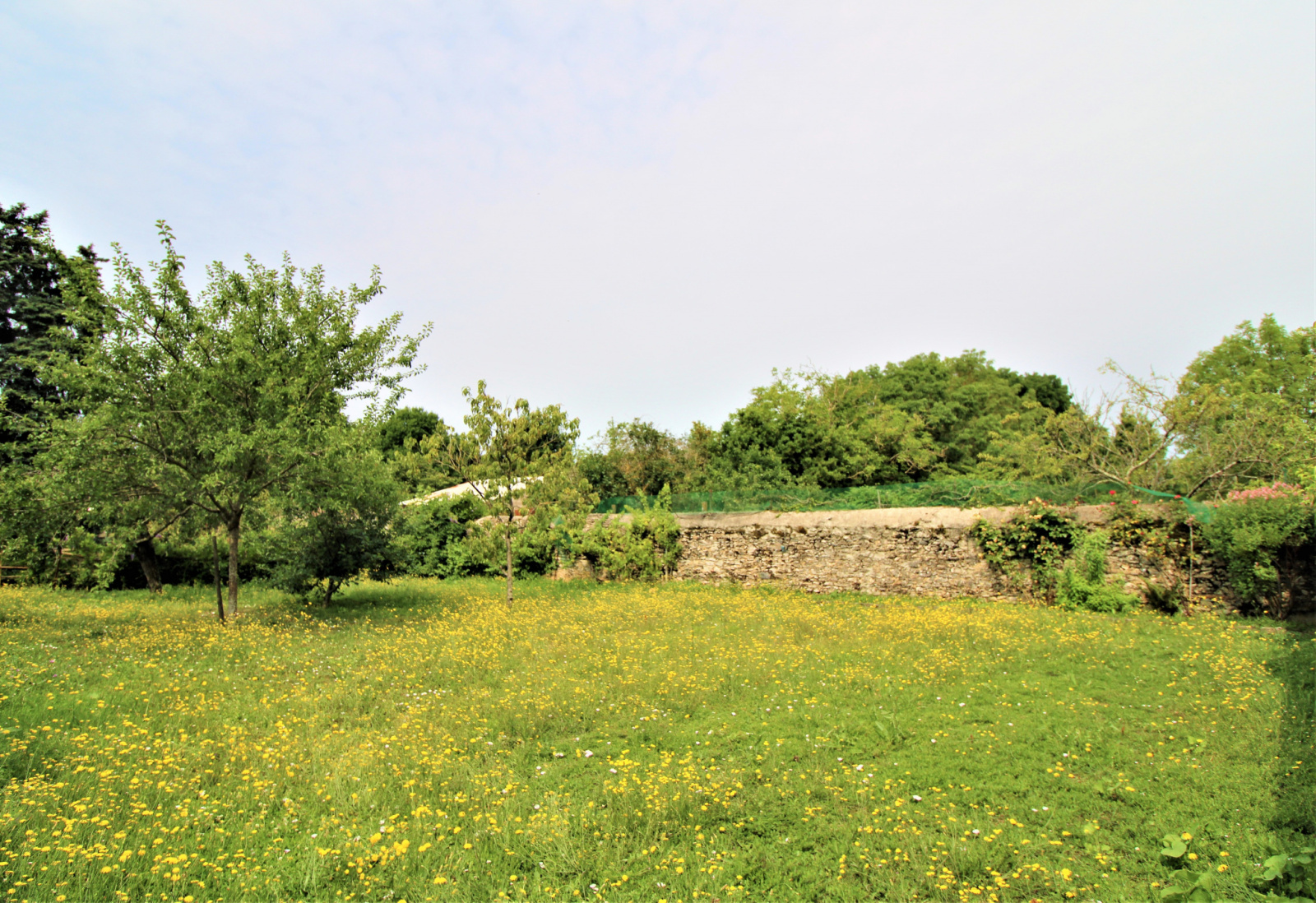 Image_14, Maison, Thouarcé, ref :256