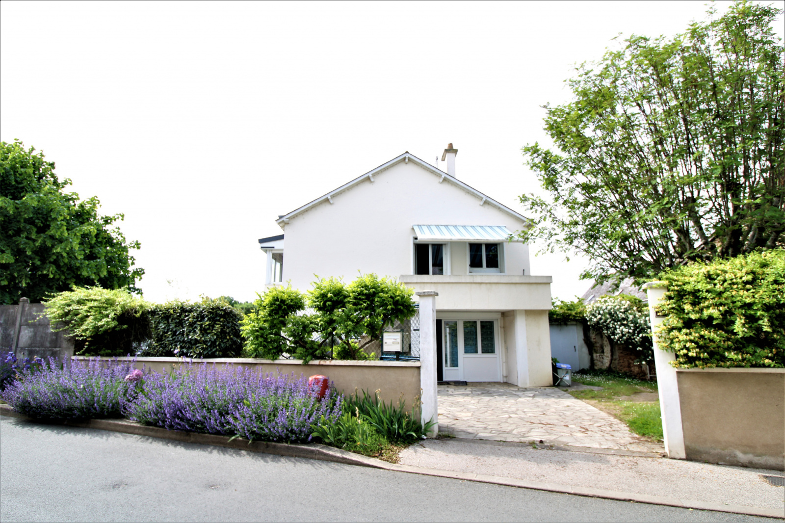 Image_1, Maison, Thouarcé, ref :256