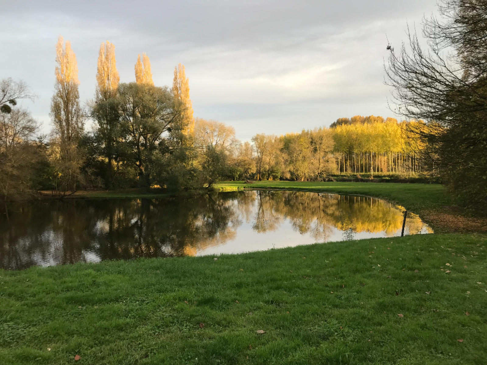 Image_3, Appartement, Briollay, ref :47