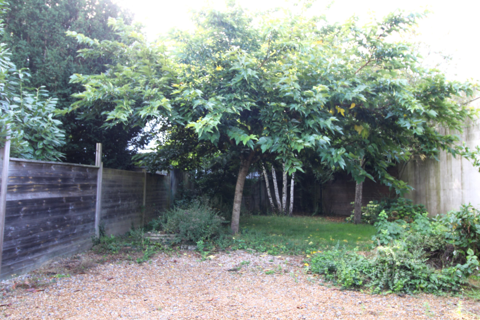 Image_6, Immeuble, Angers, ref :309