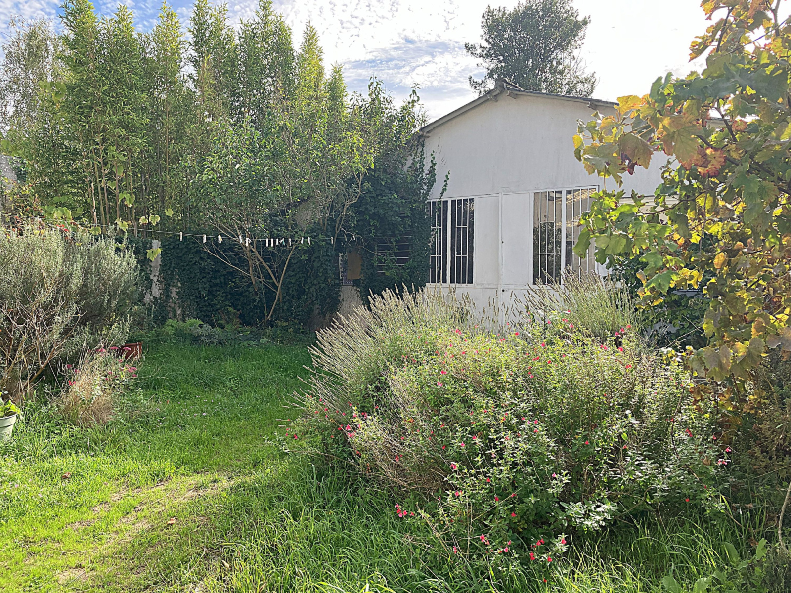 Image_14, Maison, Angers, ref :306