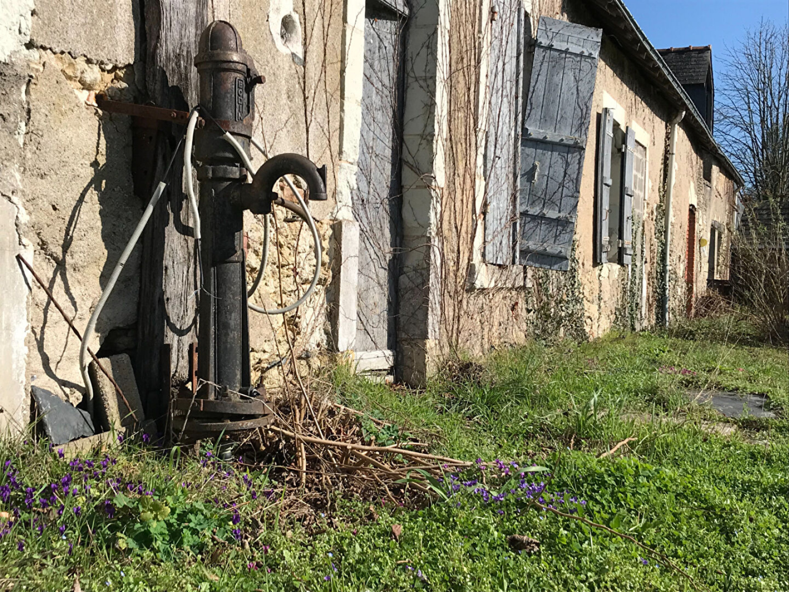 Image_2, Maison, Pellouailles-les-Vignes, ref :54