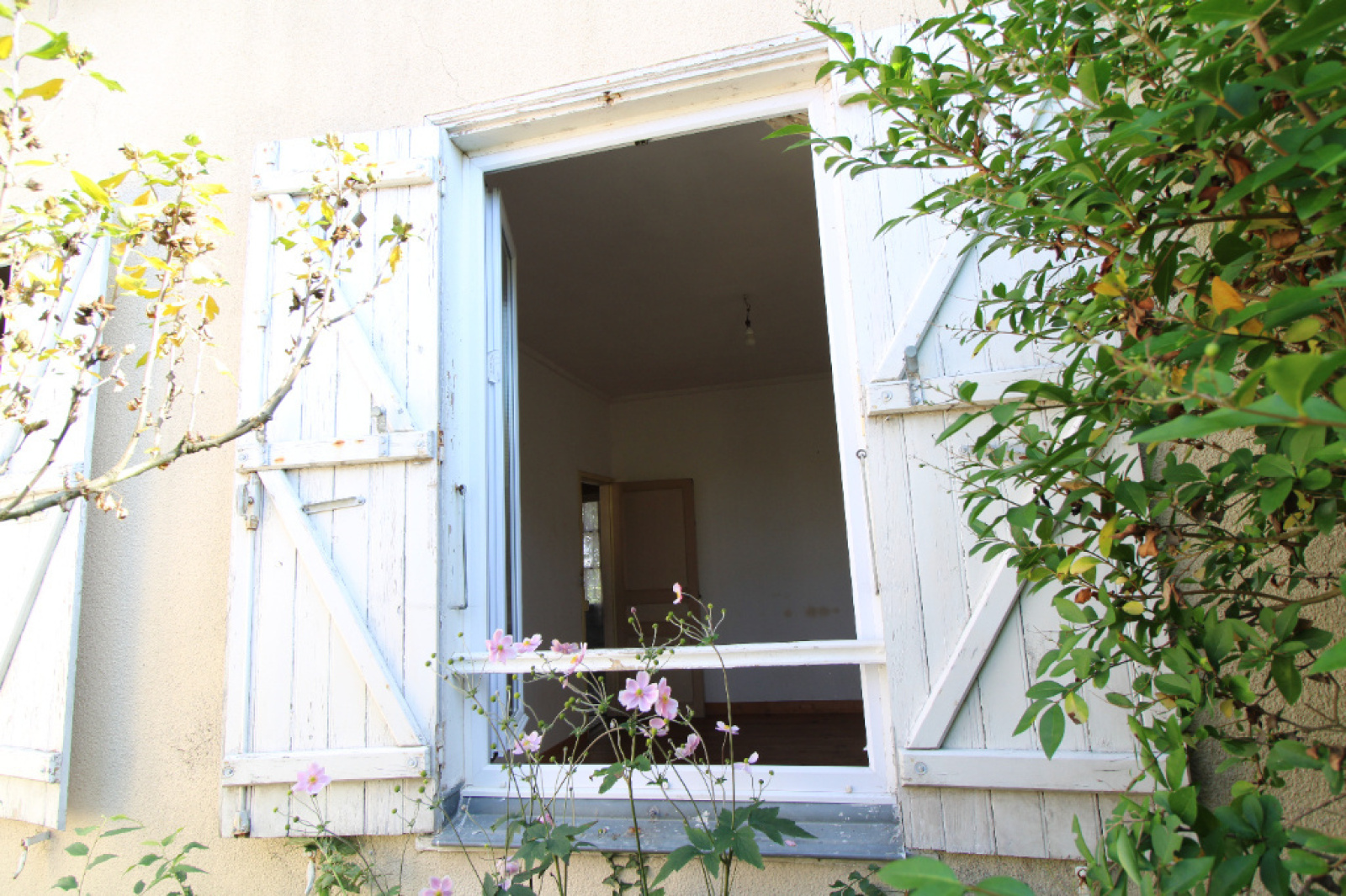 Image_5, Maison, Angers, ref :46