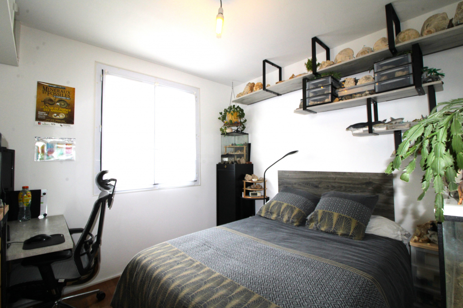 Image_5, Appartement, Angers, ref :272