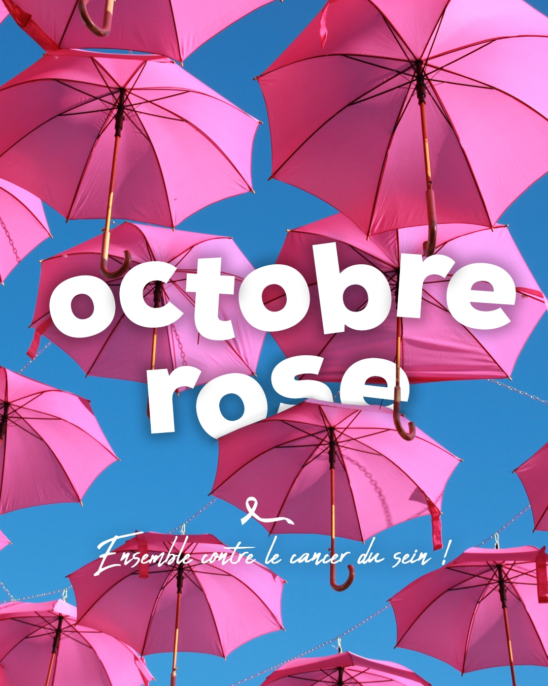 OCTOBRE ROSE